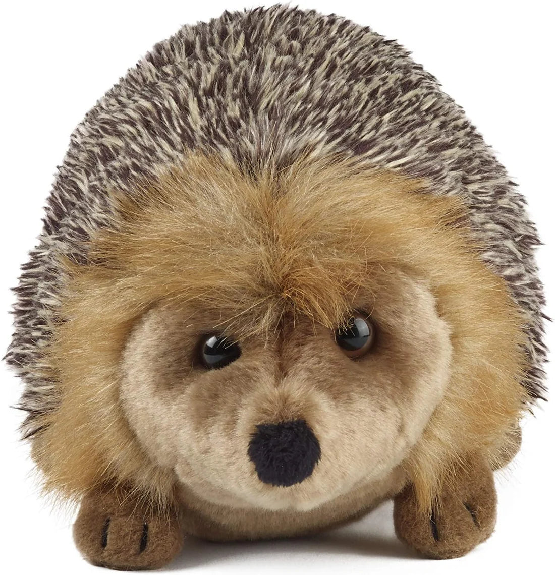 Hedgehog