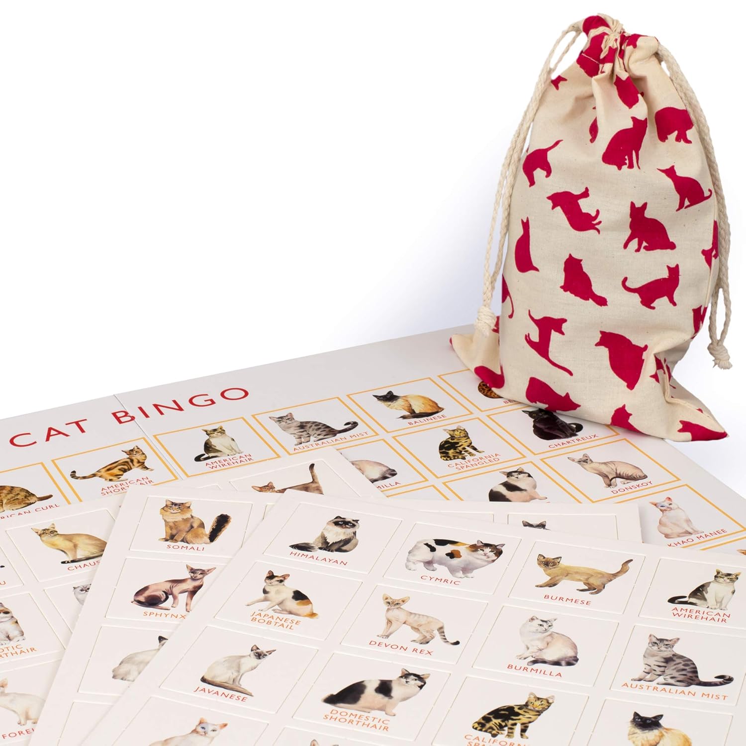 Cat Bingo