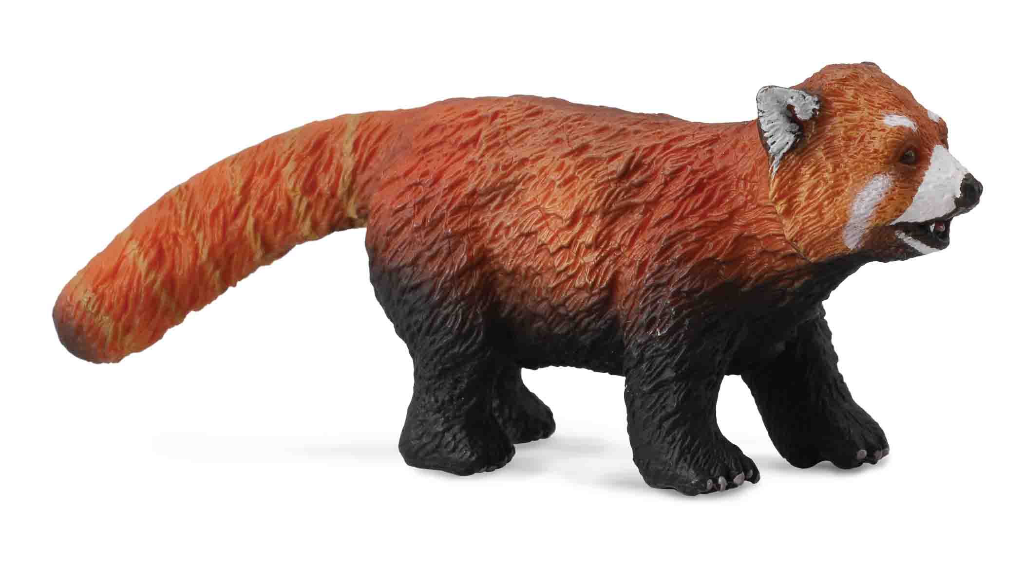 Red Panda (88536)