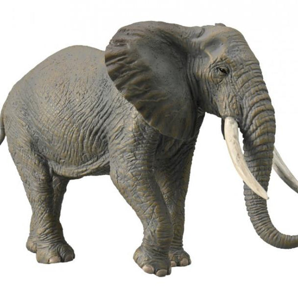 African Elephant, Extra Large (88966)