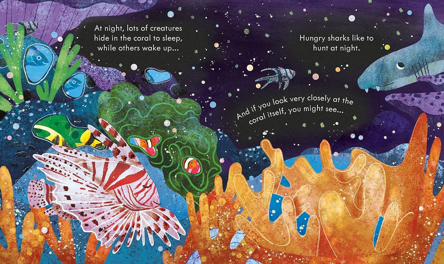 Peep Inside - A Coral Reef