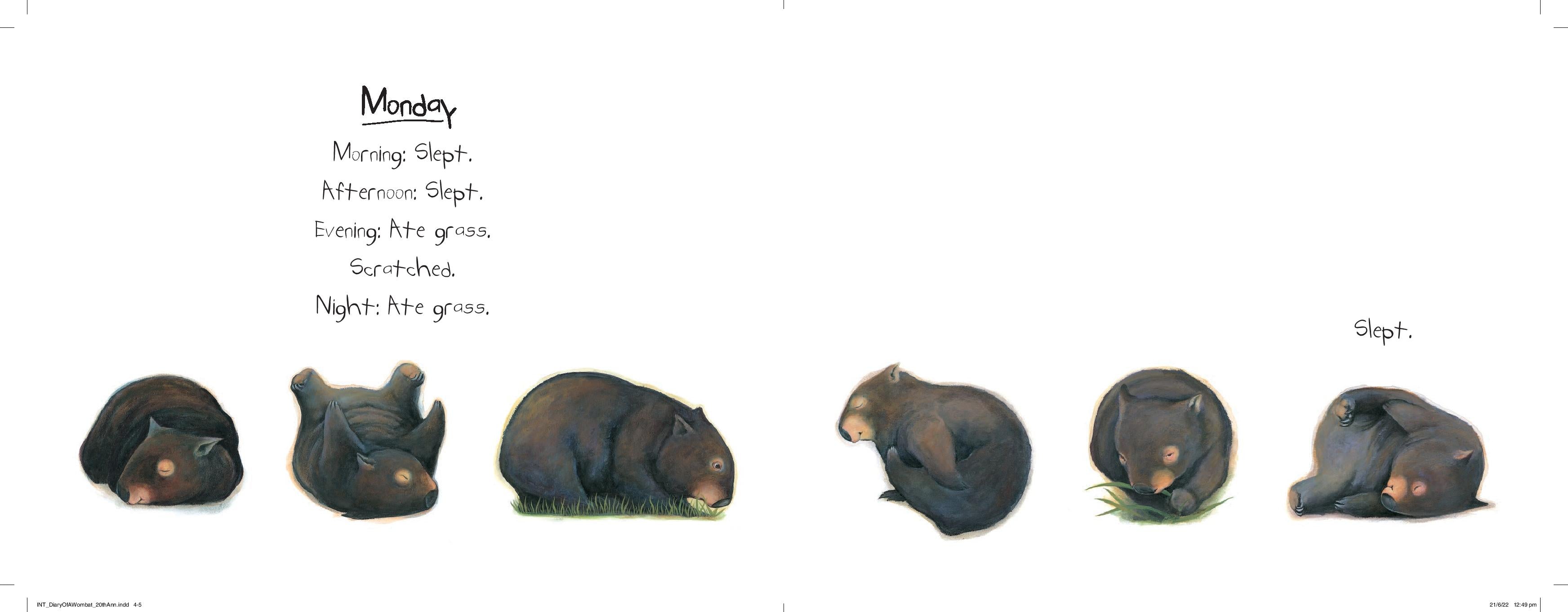 Diary of a Wombat (Board Book)