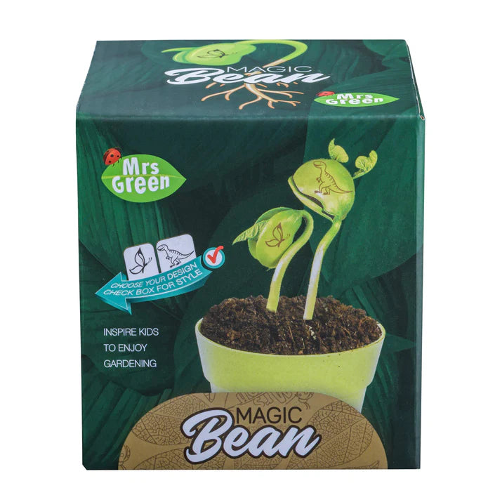 Magic Beans - Grow Your Own Beans
