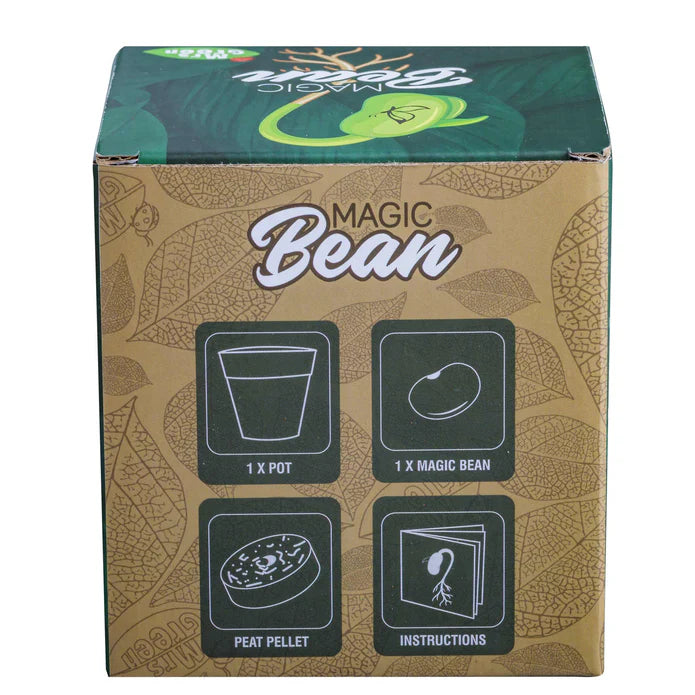 Magic Beans - Grow Your Own Beans