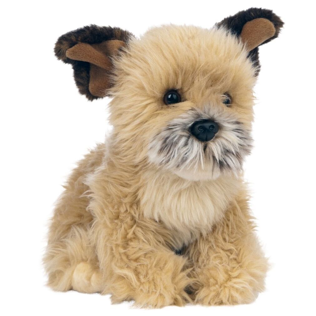 Border Terrier