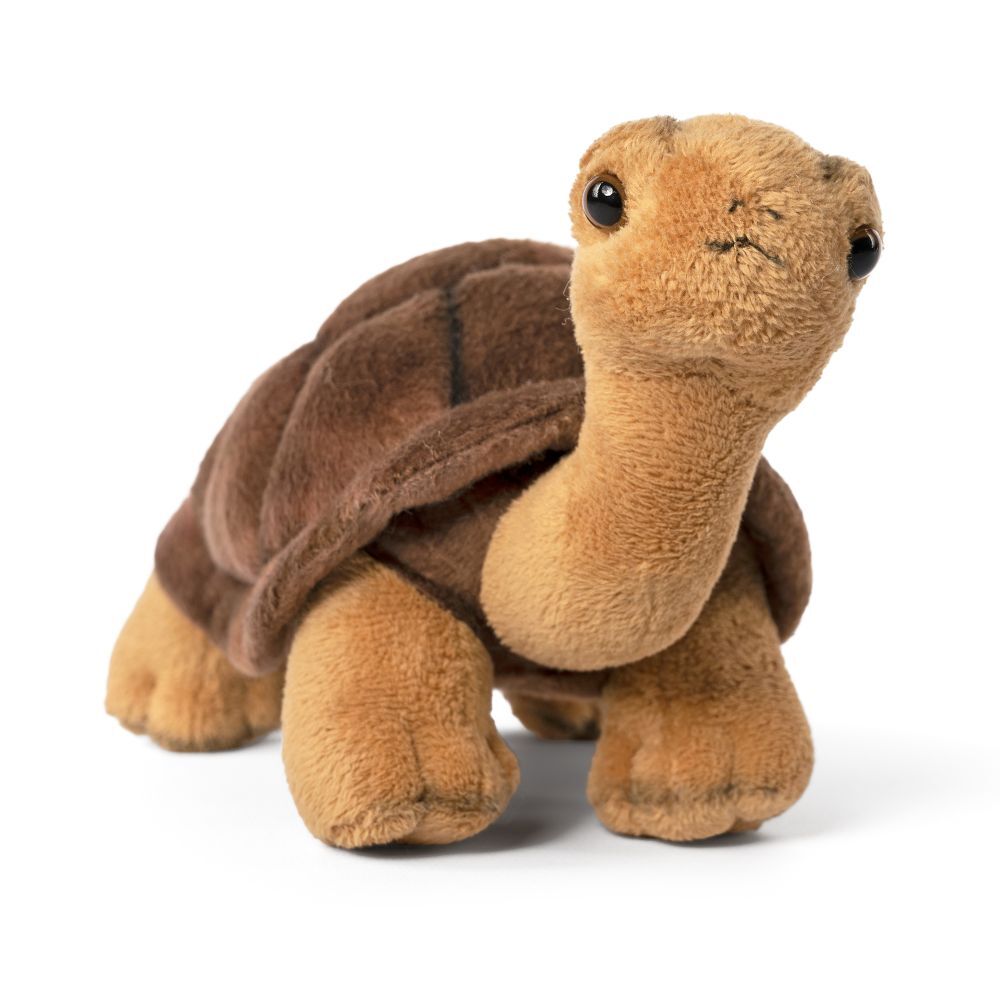 Tortoise (20cm)