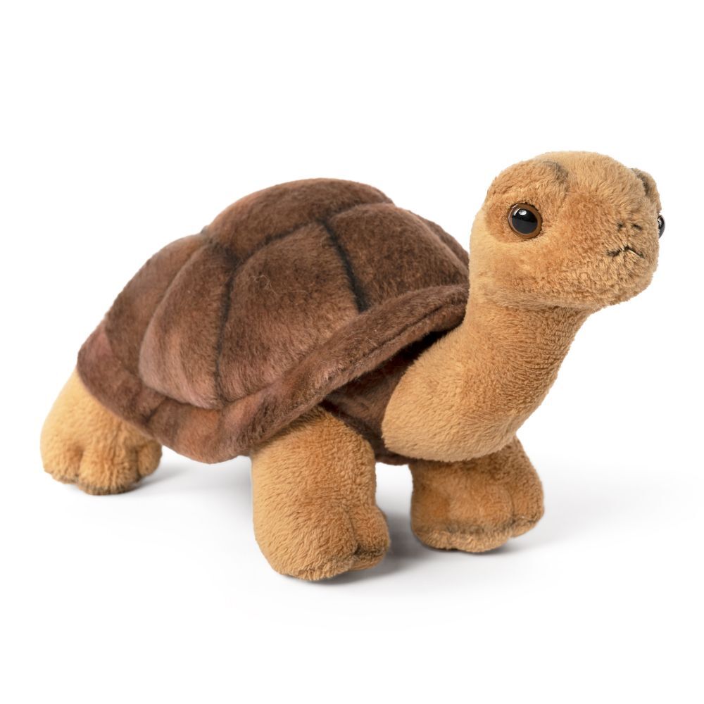 Tortoise (20cm)