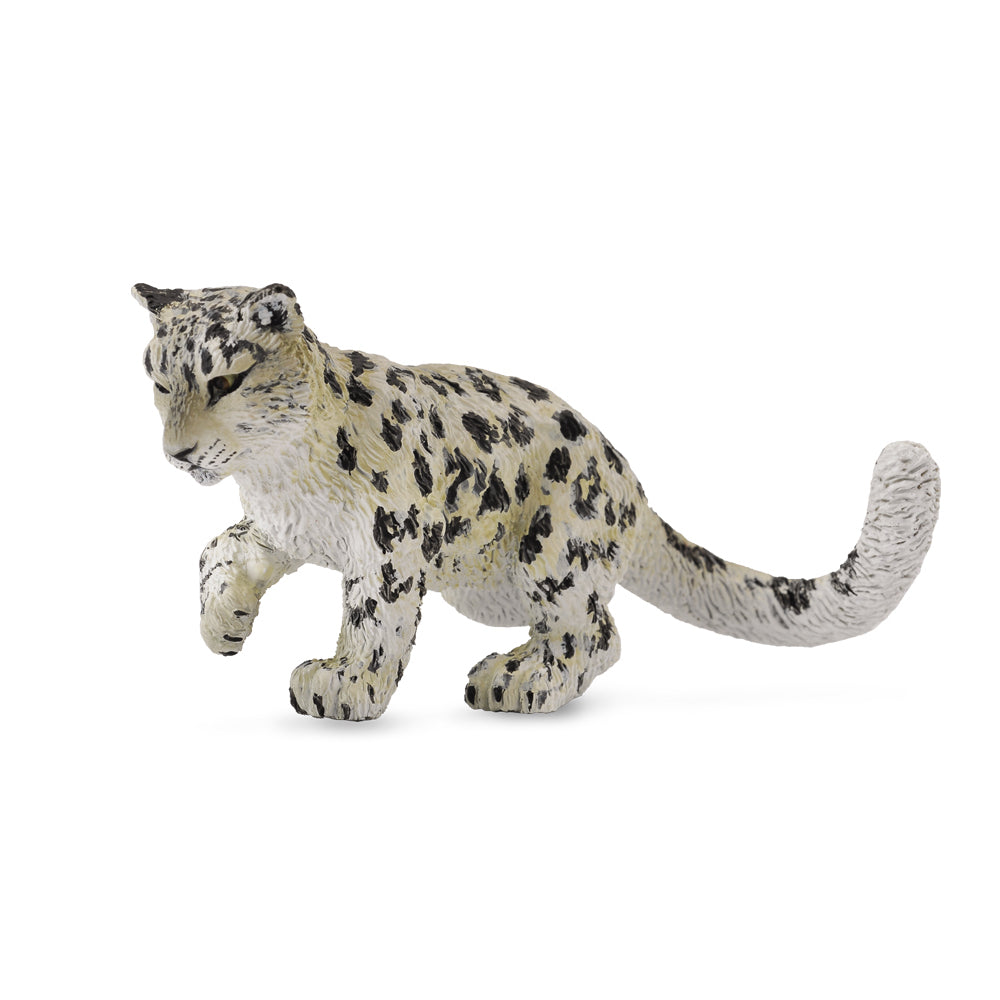 Snow Leopard Cub Playing, Medium (88497)