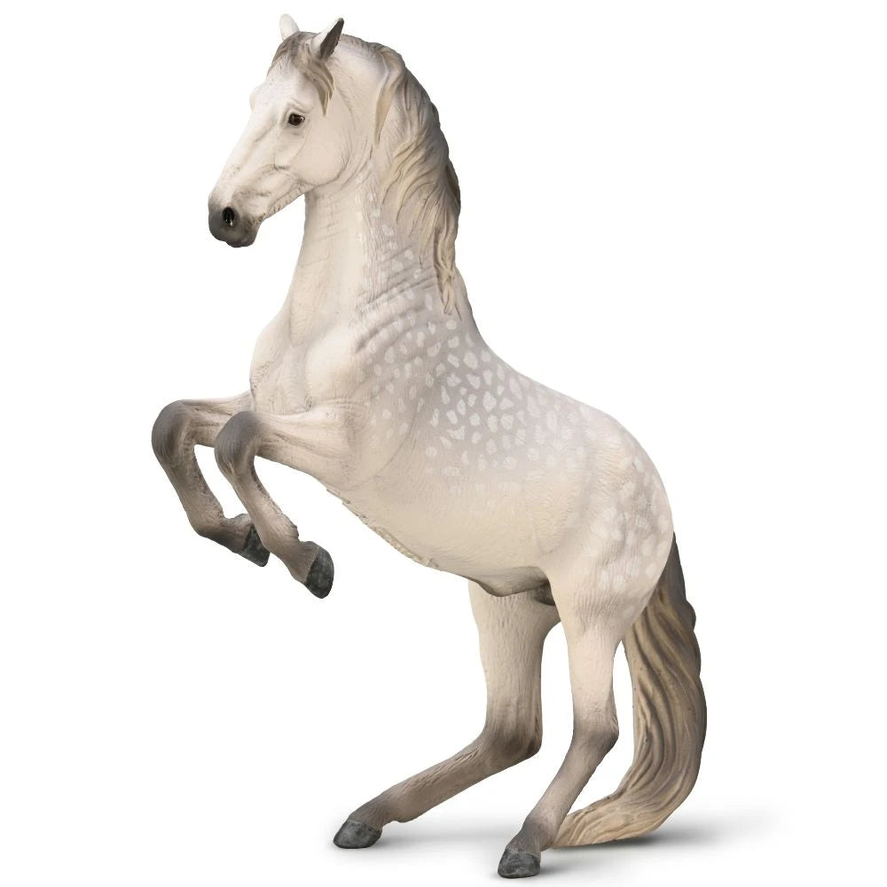 Lipizzaner Stallion - Dapple Grey, Extra Large (80051)