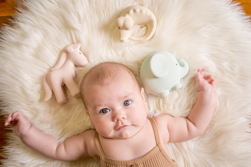 Rubber Marshmallow Animal Set