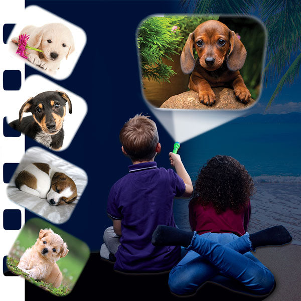 Puppy Torch and Projector