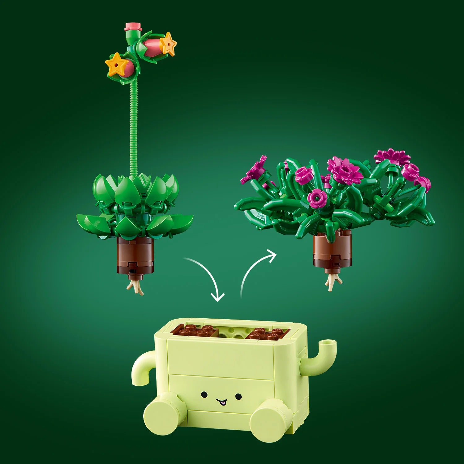 Botanical Collection - Rocking Plants (11506)