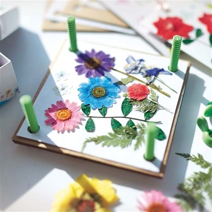 4M - Green Creativity - Pressed Flower Art