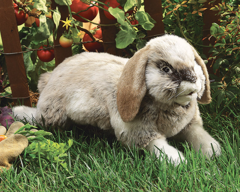 Holland Lop Rabbit Puppet
