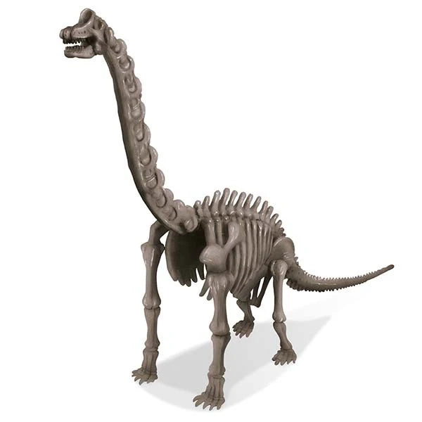 KidzLabs Dig a Dinosaur - Brachiosaurus
