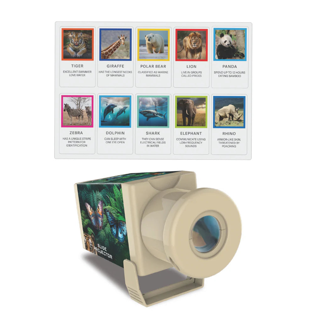 Kidzlabs - Slide Projector - Wildlife