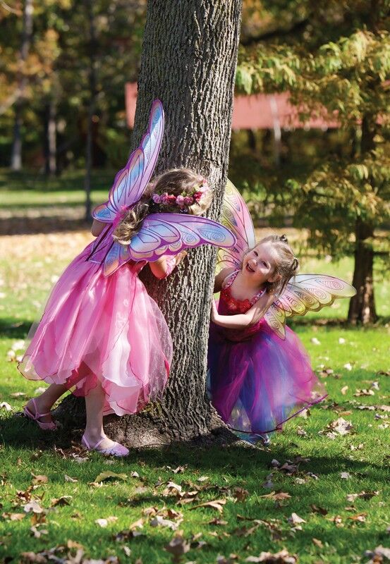 Glitter Rainbow Wings - Pink