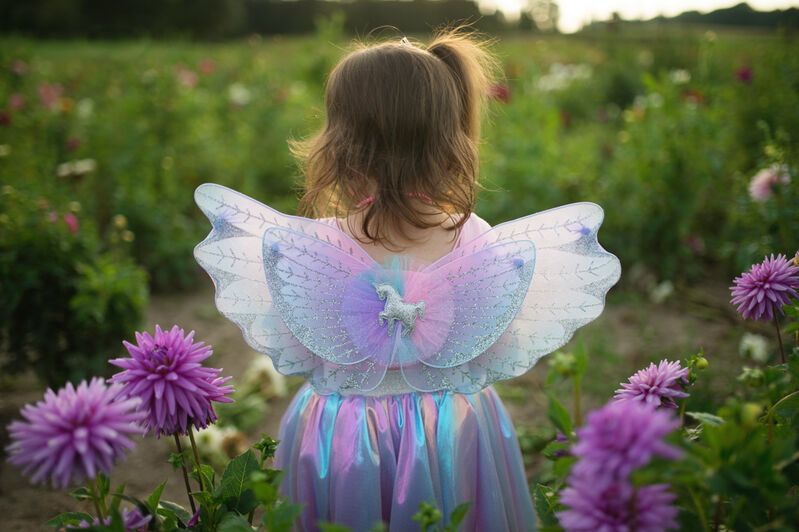 Pastel Magical Unicorn Skirt & Wings (4-6 Years)