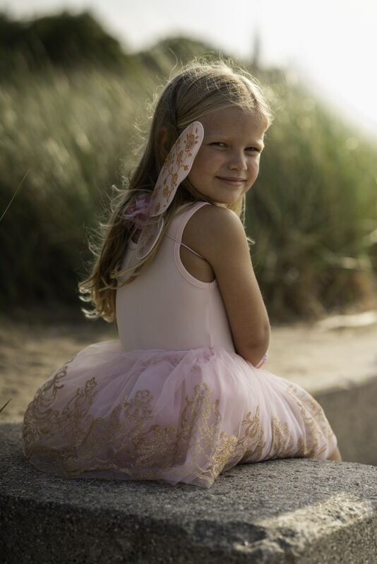 Rose Gold Tutu & Wings Set Size (4-6 Years)