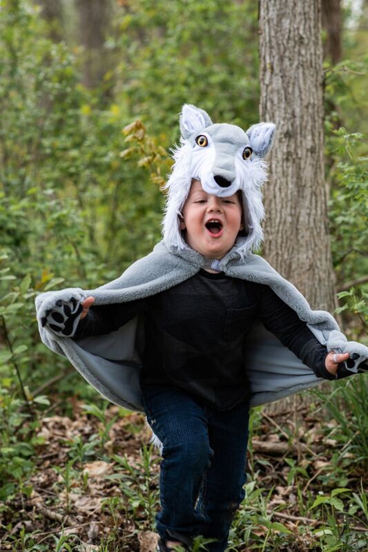 Woodland Storybook Wolf Cape Size (Size 4-6)