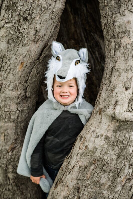 Woodland Storybook Wolf Cape Size (Size 4-6)