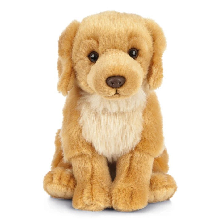 Golden Retriever (20cm)
