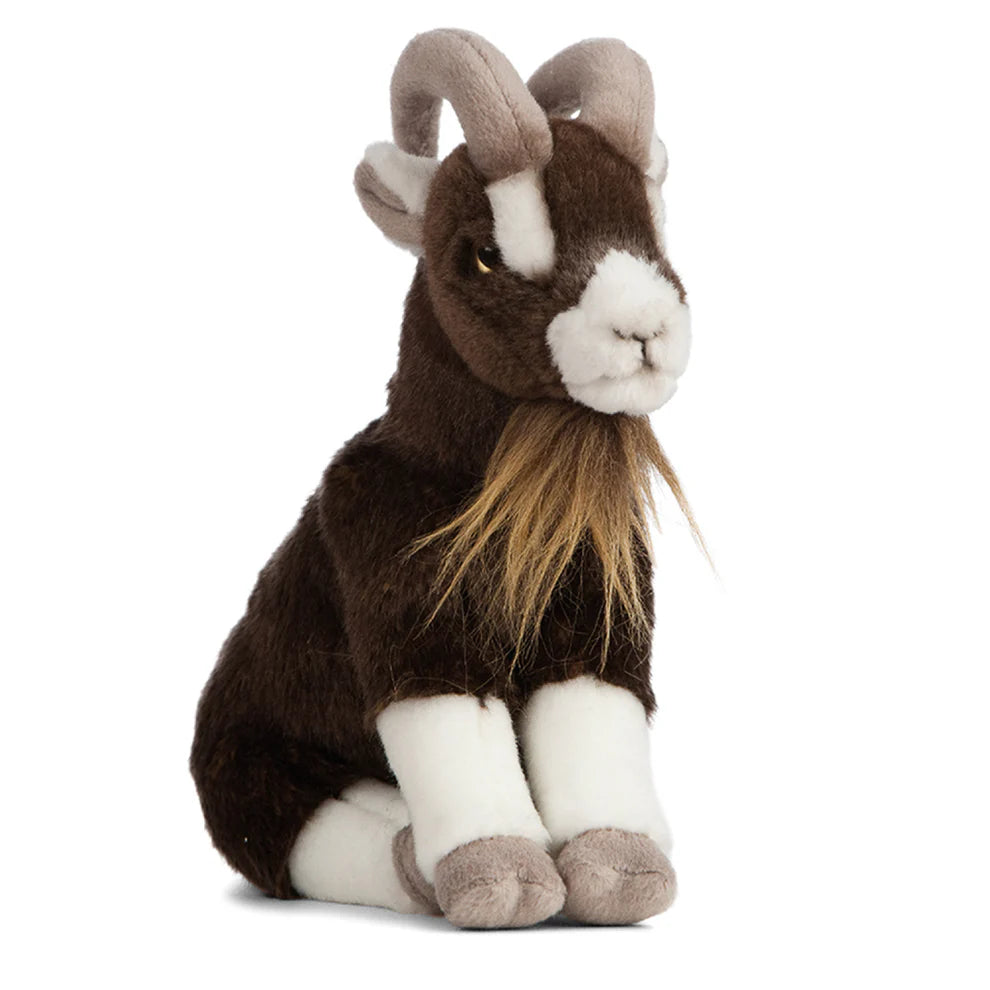 Brown Goat - Sitting