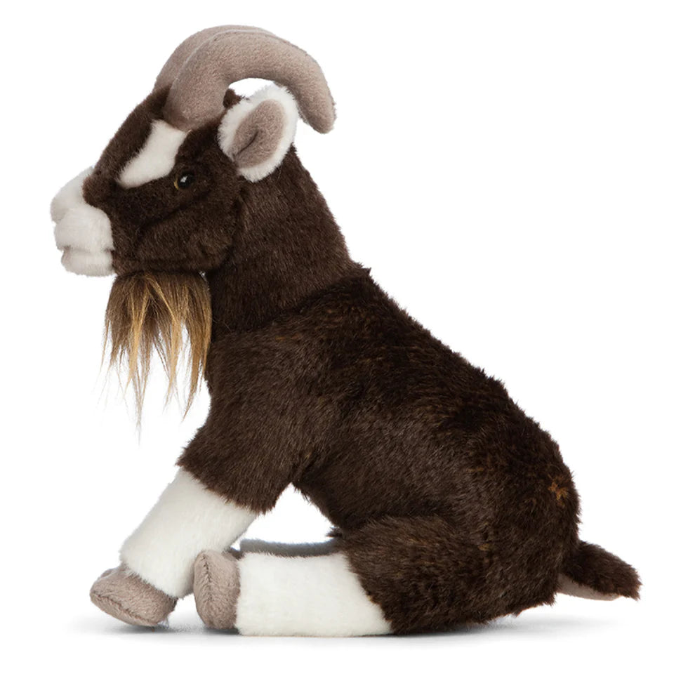 Brown Goat - Sitting