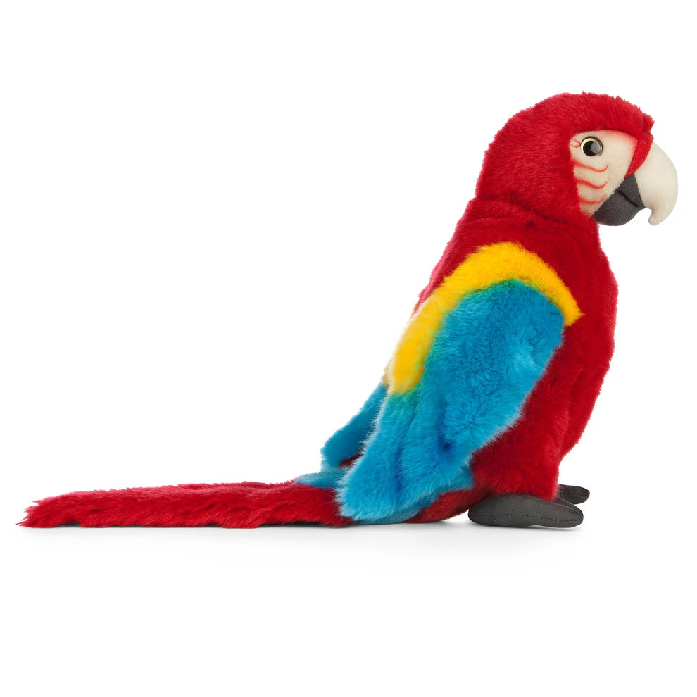 Red Macaw (27cm)