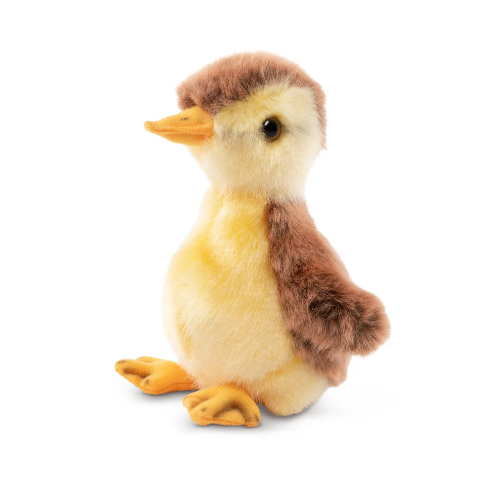 Mallard Duckling (16cm)