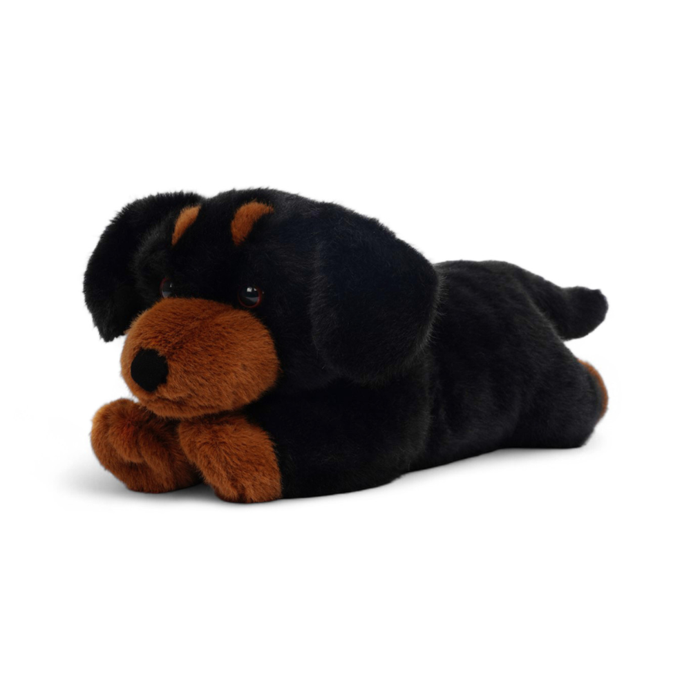 Pumpkin Dachshund