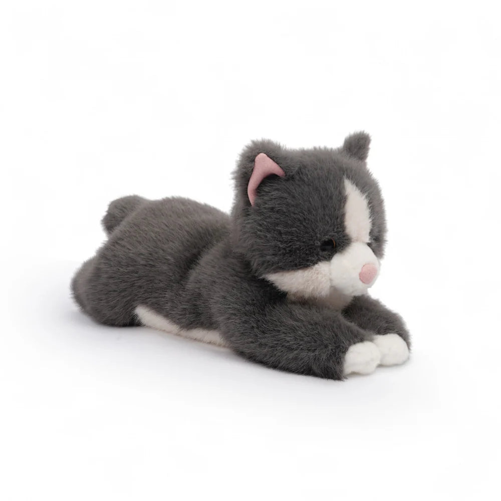 Misty Grey Cat