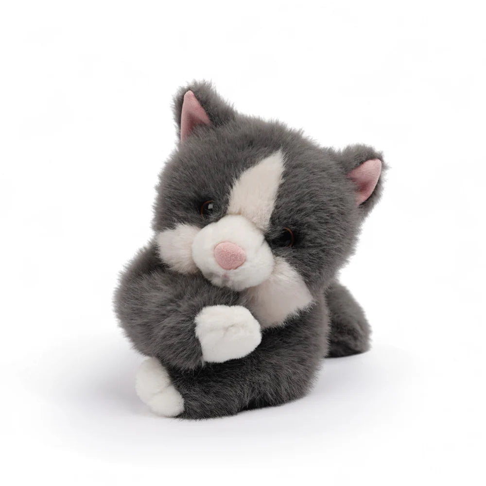 Misty Grey Cat