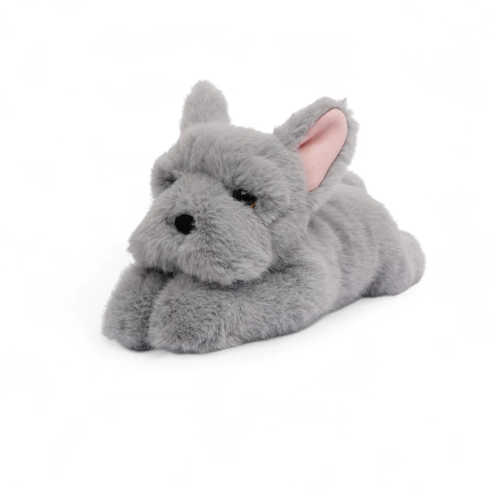Remy the French Bulldog