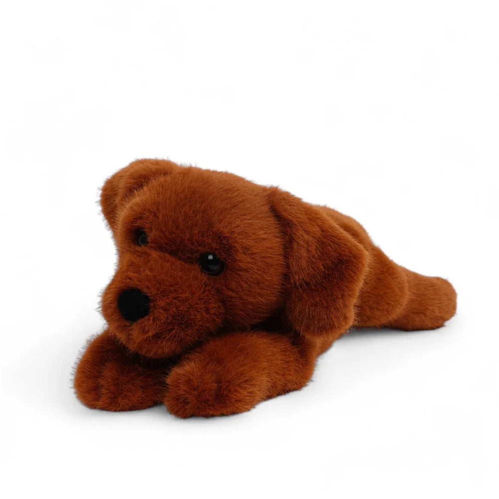 Buddy the Labrador