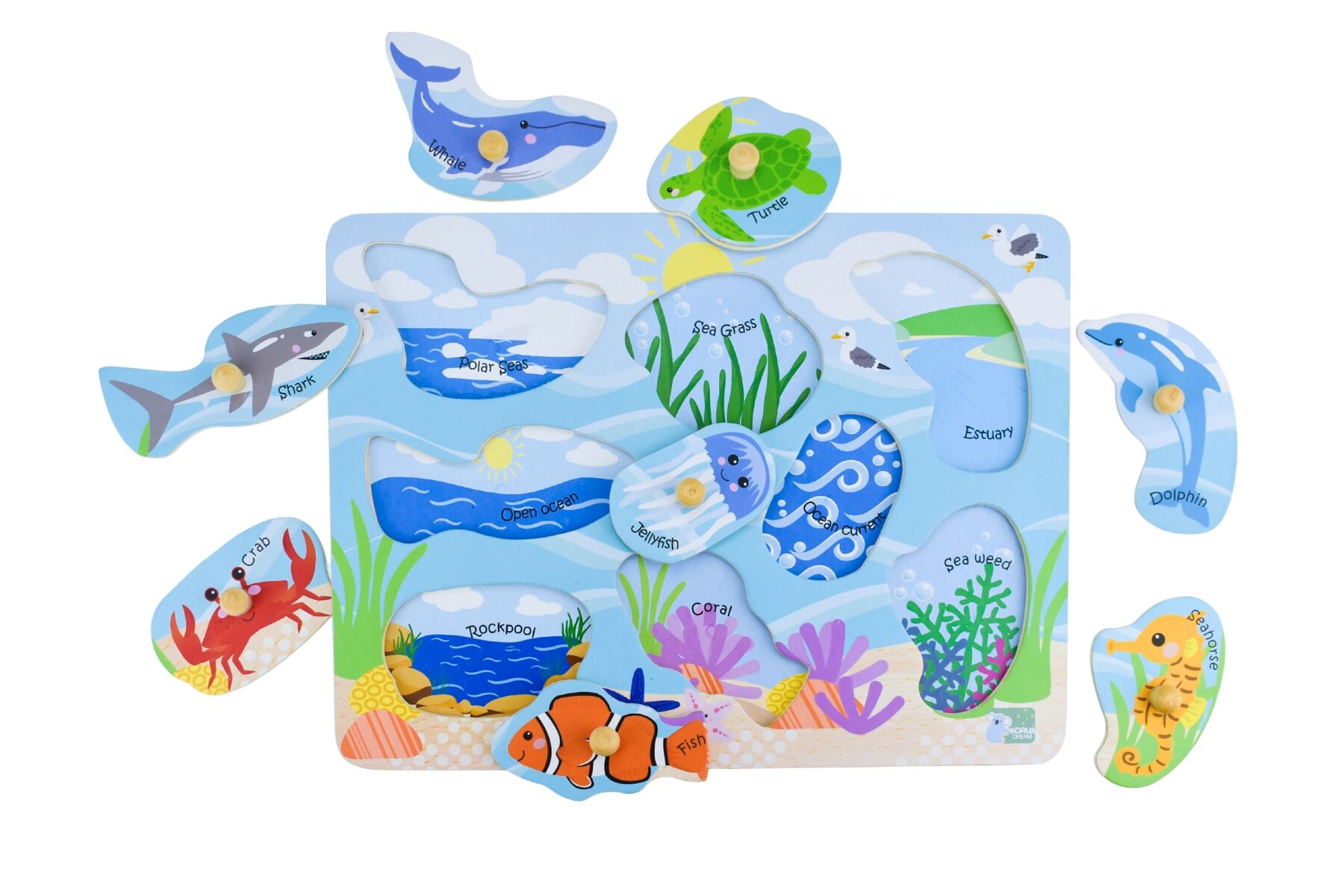 2 in 1 Sea Animal & Their Habitats Peg Puzzle