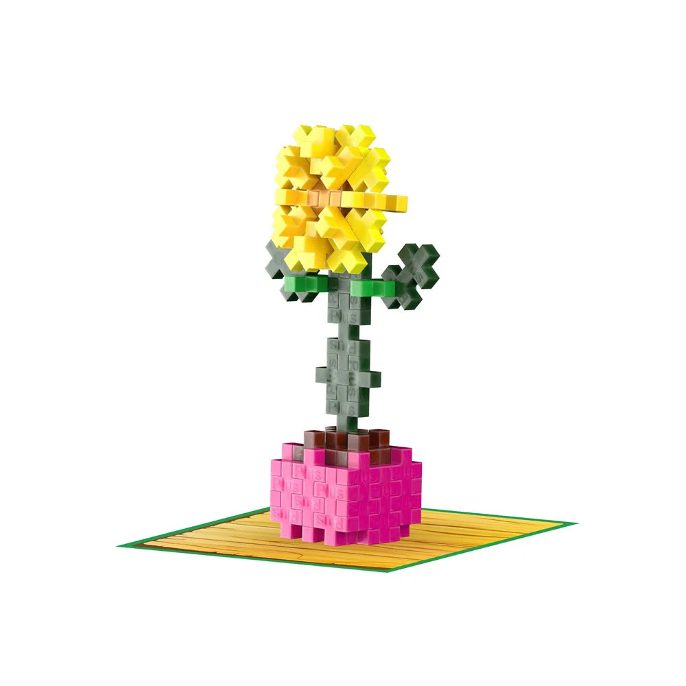Plant Packs - Sunflower