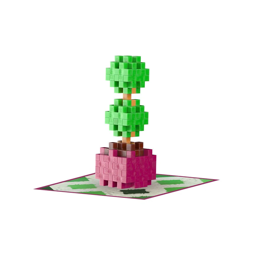 Plant Packs - Topiary
