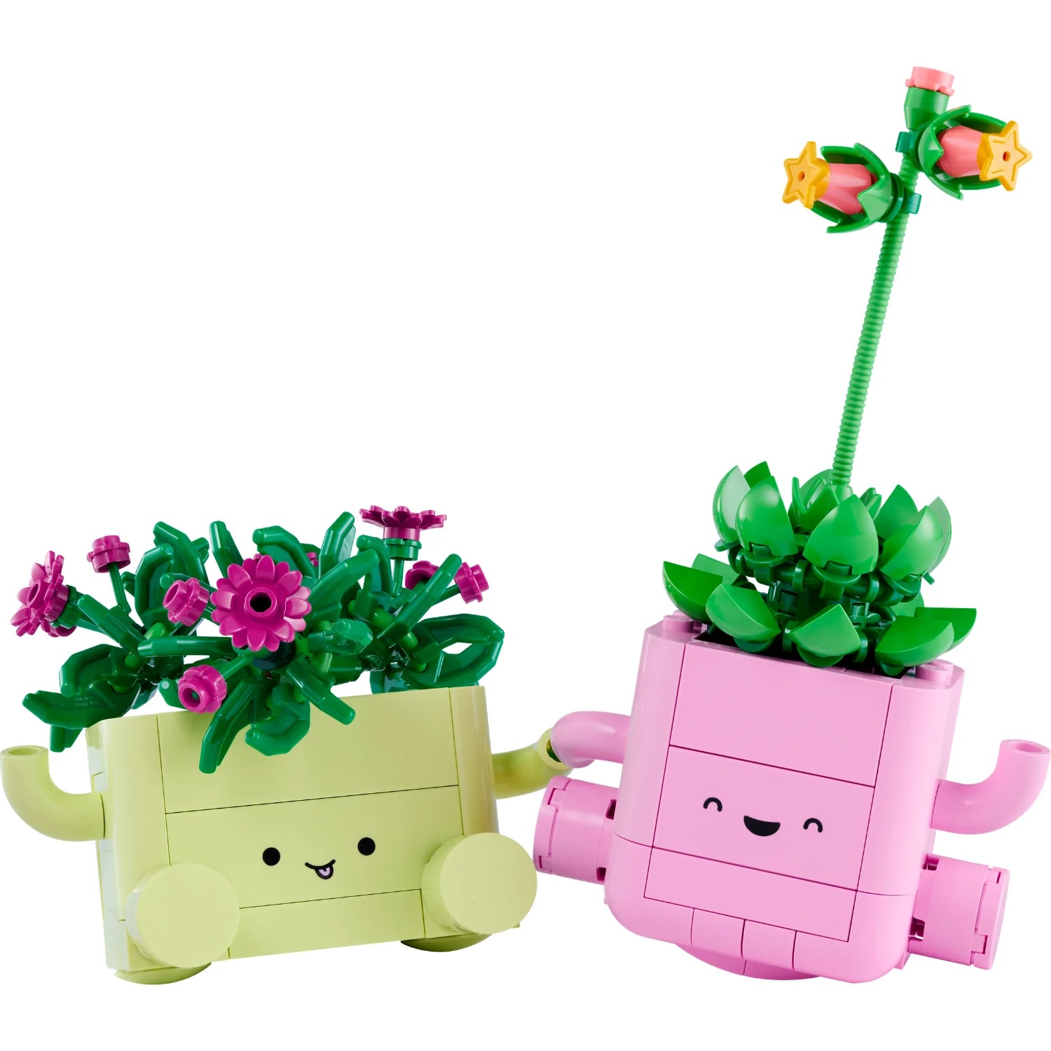 Botanical Collection - Rocking Plants (11506)