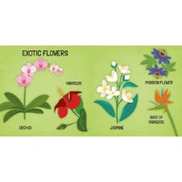 3D Puzzle & Book Set - Learn the Names of Flowers