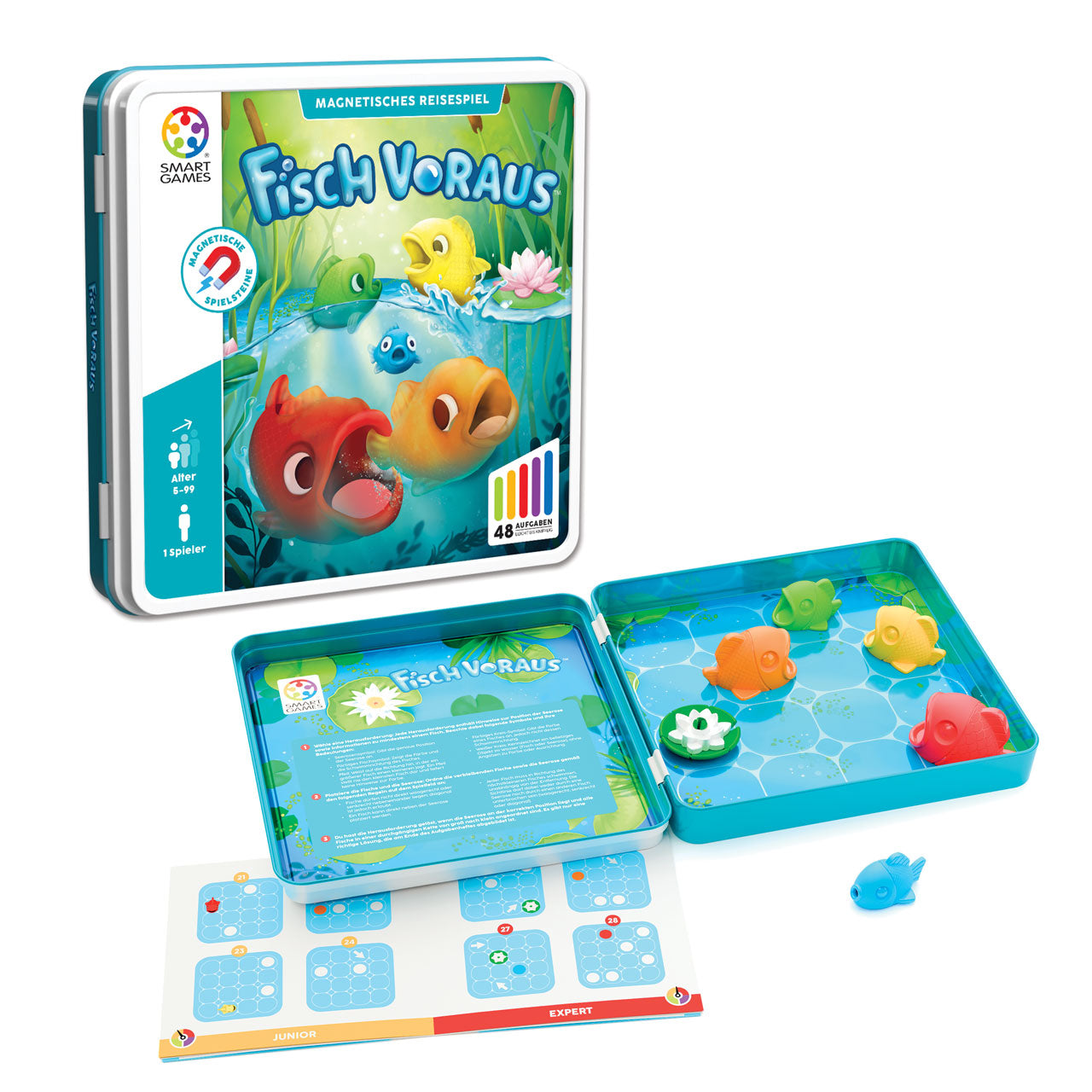 Magnetic Travel Puzzle Game - FishTricks