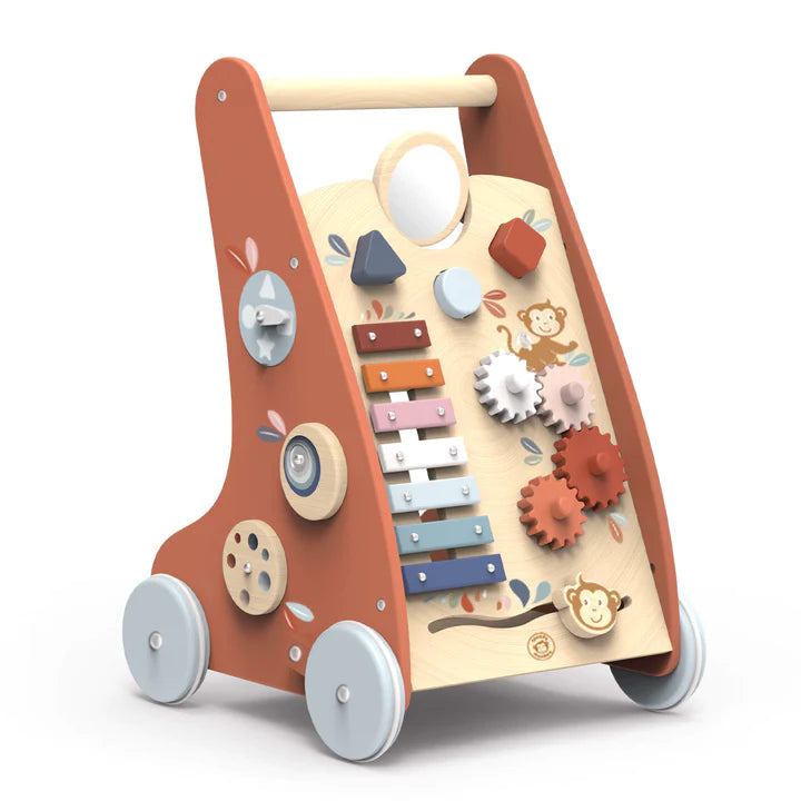 Multi-activity Push Toy - Activity Walker