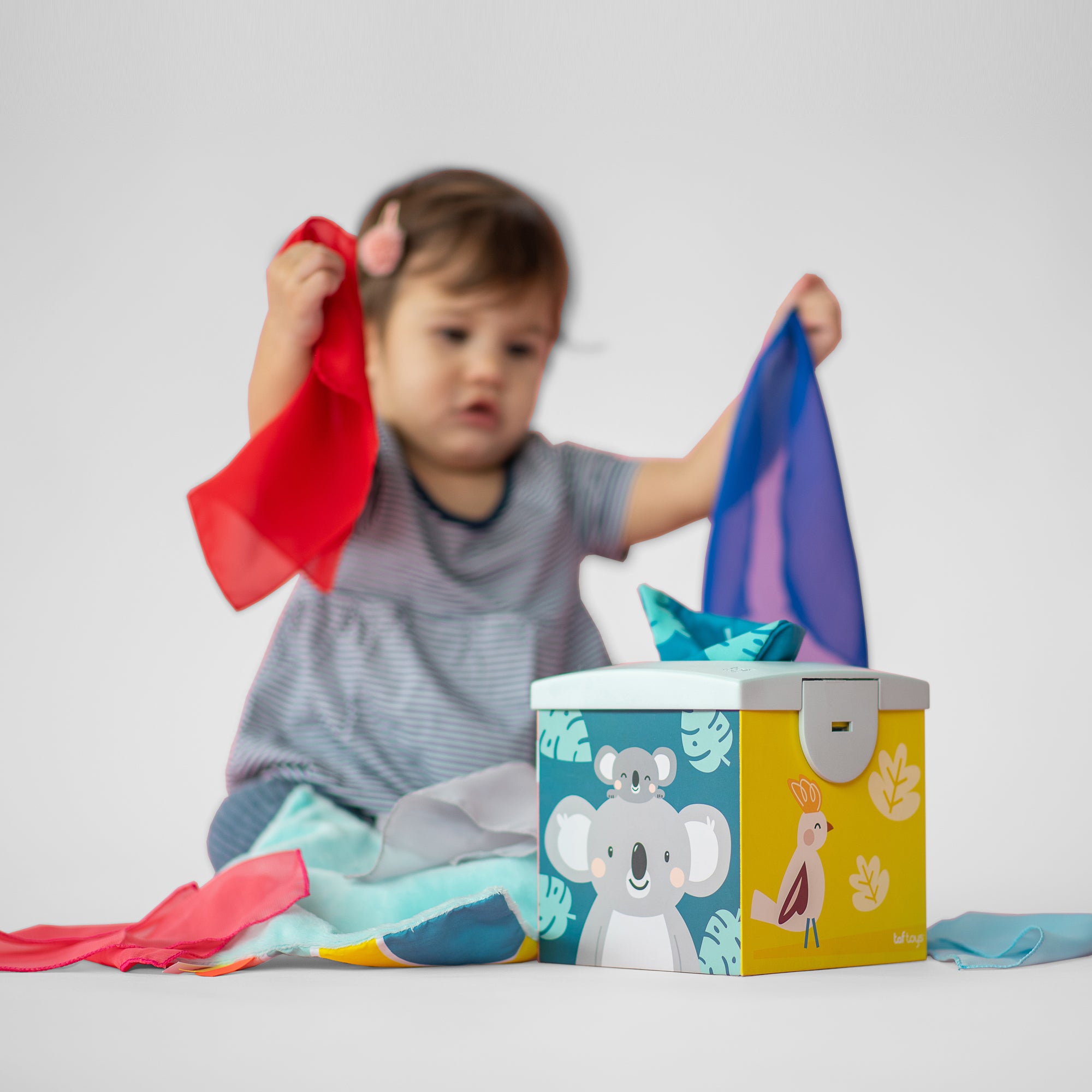 Kimmy Koala Tissue Box