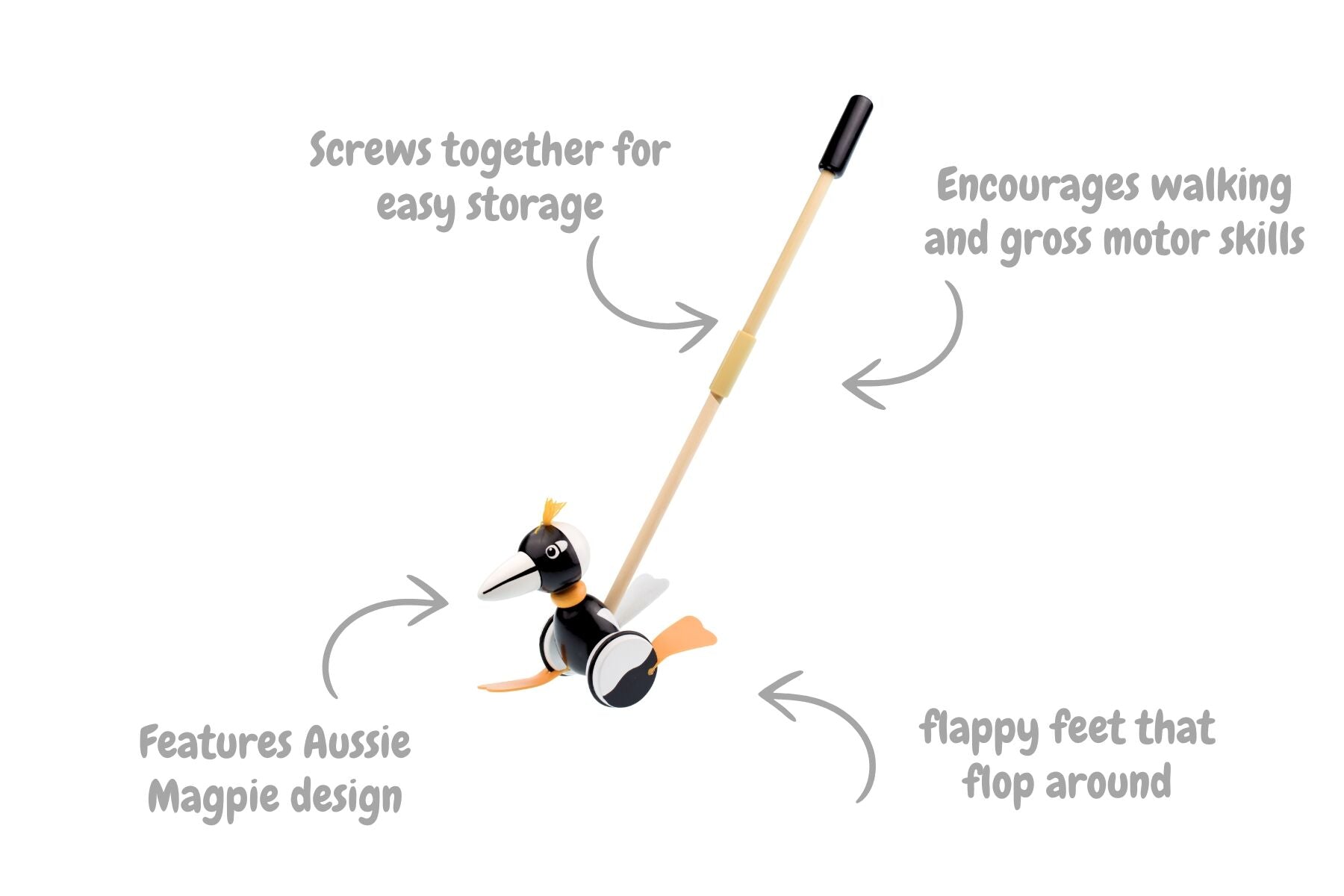 Push Along Magpie