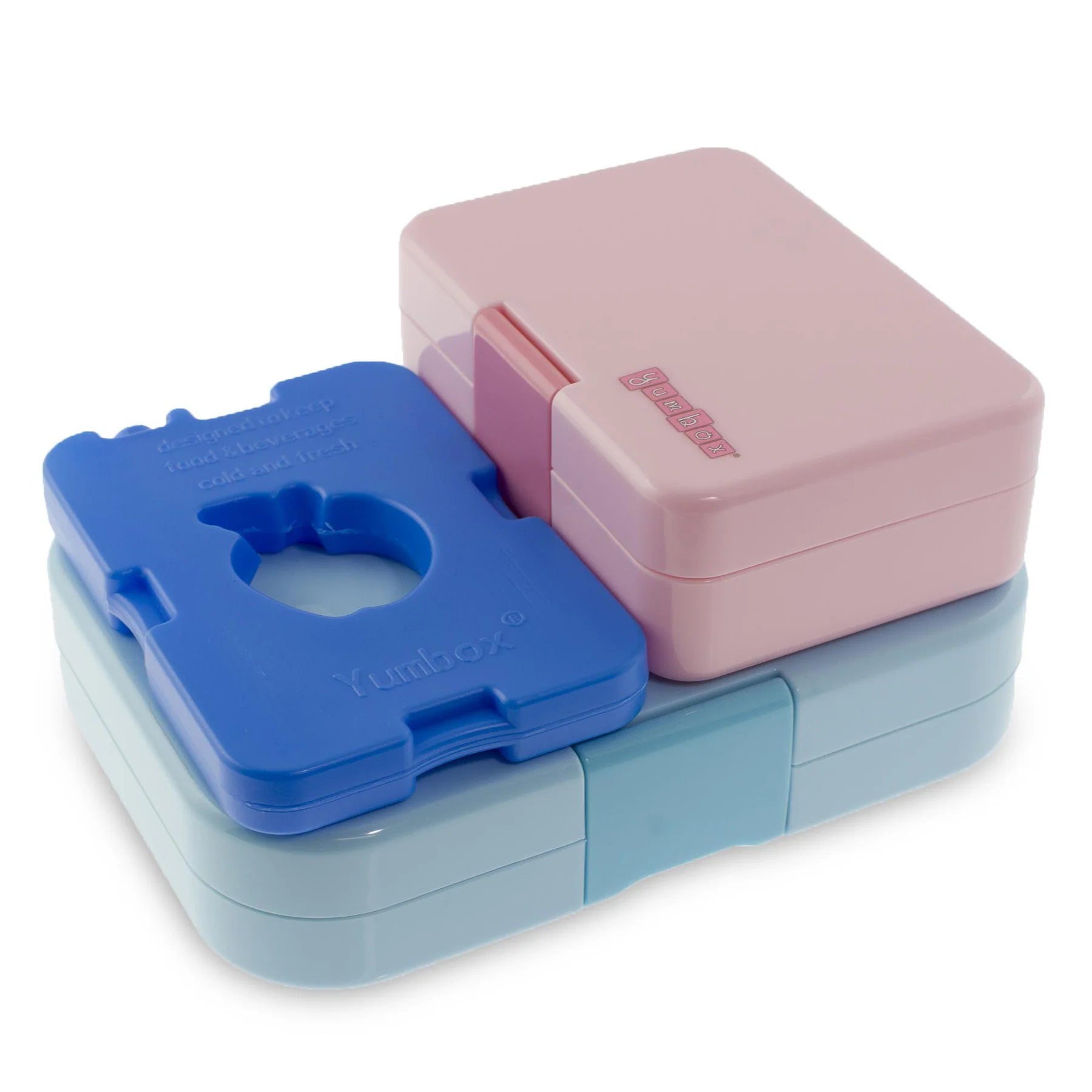 Ice Packs (set of 4)
