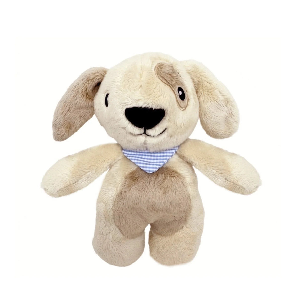 Sensory Rattle