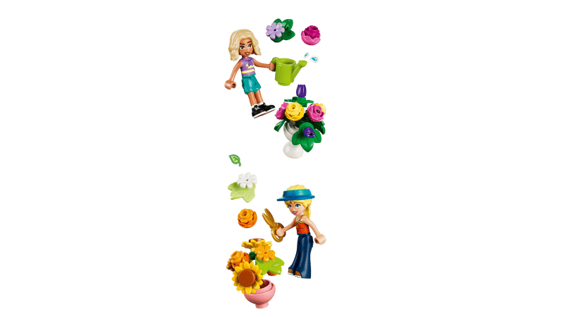 Friends - Creative Flower Shop (42693)