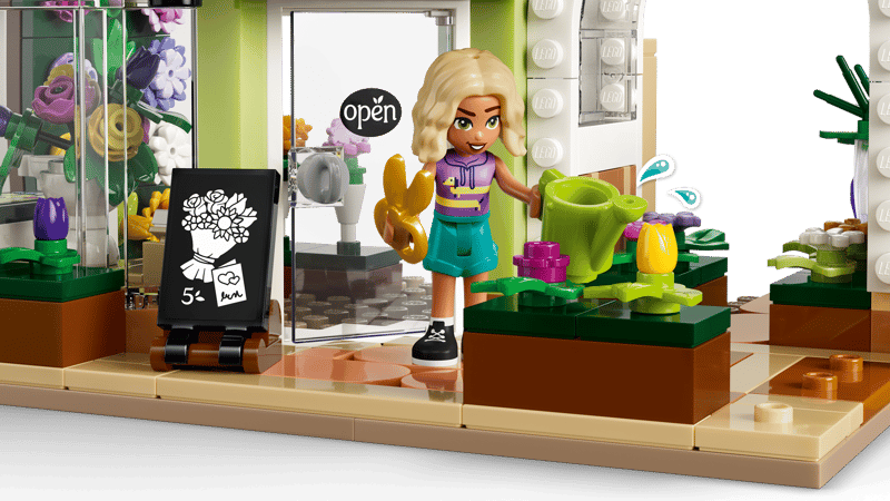 Friends - Creative Flower Shop (42693)