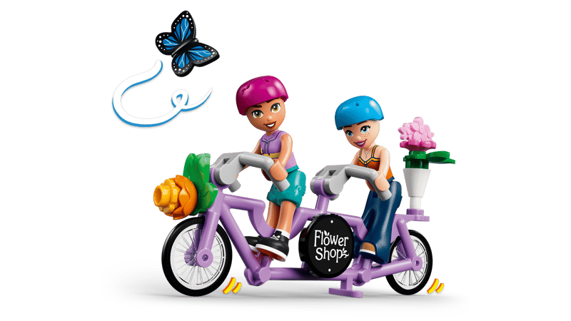 Friends - Creative Flower Shop (42693)
