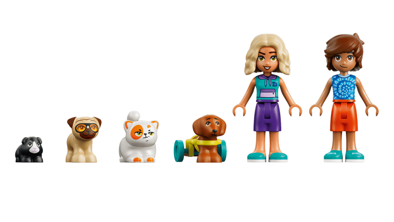 Friends - Fun Water Park Day (42676)